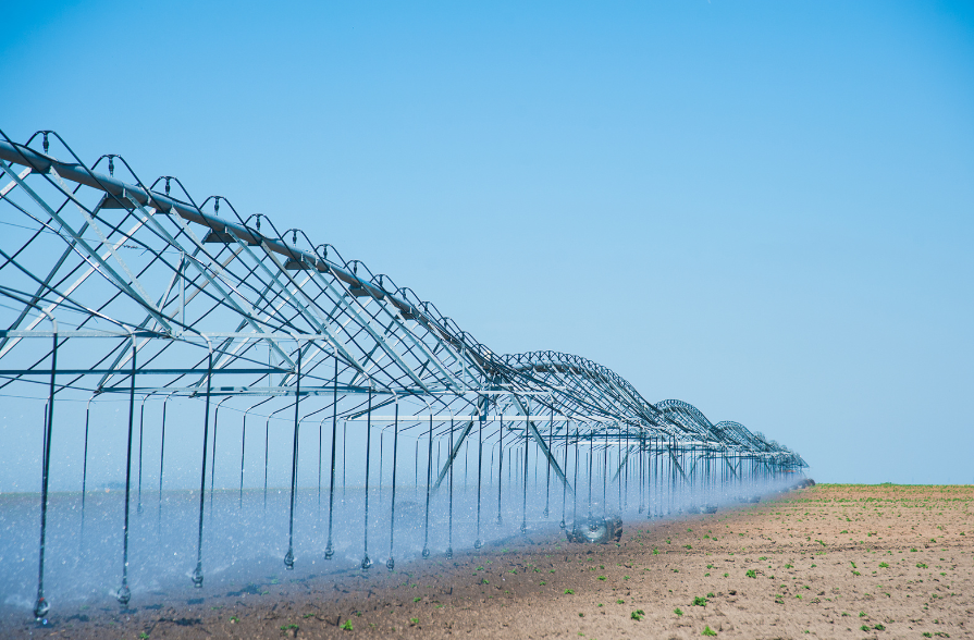 utilisation de l'eau en agriculture intensive